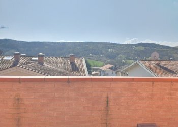 20260316_104724.jpg - Appartamento Via Don Milani 11, Medesano - foto 7