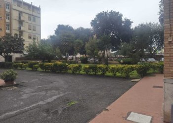 Giardino condominiale - Bilocale Via delle Fiamme Gialle, Roma - foto 2