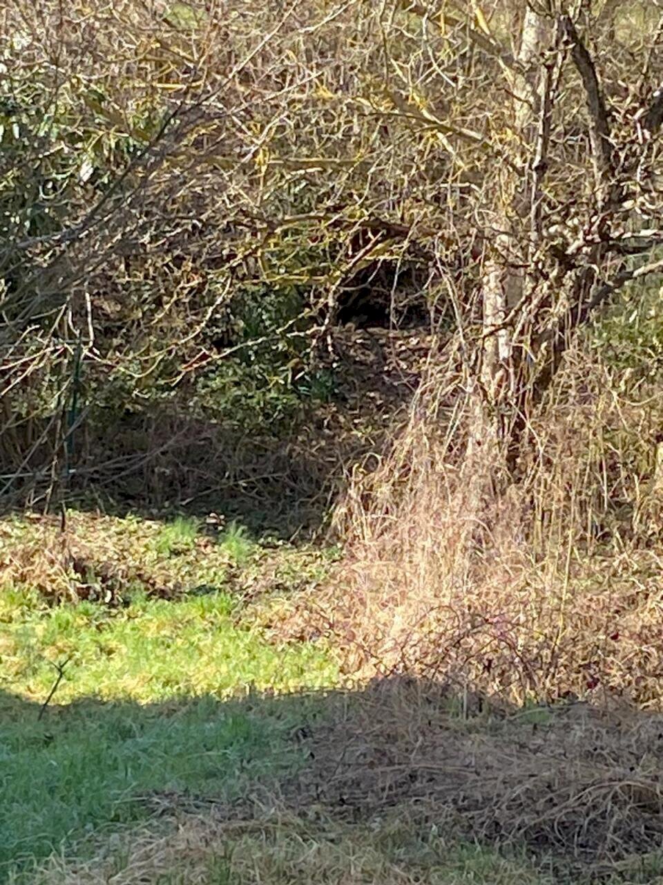 WhatsApp Image 2026-02-27 at 15.33.18 (1).jpeg - Townhouse Santa Maria Bobbio, Bobbio - photo 3