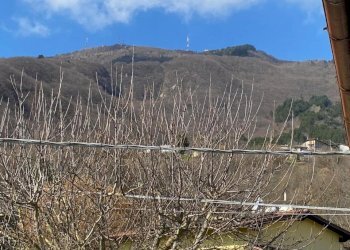 WhatsApp Image 2026-02-27 at 15.33.20 (11).jpeg - Townhouse Santa Maria Bobbio, Bobbio - photo 23