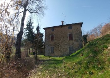 RUSTICO MONTALTO_BOSCO (3).jpg - Rustico Via Mattioli 555, Zocca - foto 5