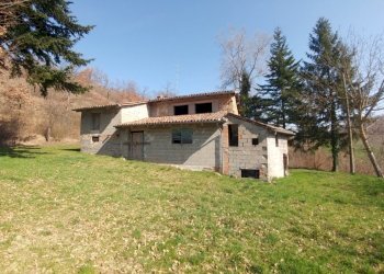 RUSTICO MONTALTO_BOSCO (4).jpg - Rustico Via Mattioli 555, Zocca - foto 6