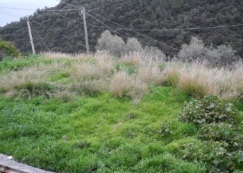 6.jpg - Villa all'asta Via Martinazzi 49, Camporosso - foto 5