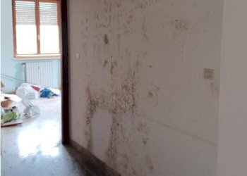 4.jpg - Appartamento all'asta Via Vittorio Veneto 15, Strevi - foto 4