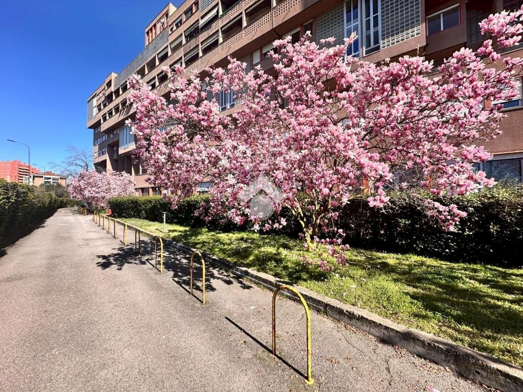 Three-room apartment Via Francesco Cilea, Milano (neighborhood Gallaratese) - photo 1