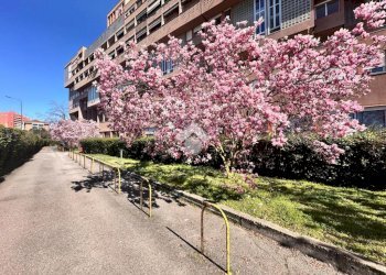 Three-room apartment Via Francesco Cilea, Milano (neighborhood Gallaratese) - photo 1