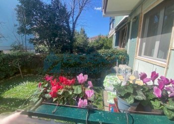 IMG_8699.jpeg - Bilocale La Spezia - foto 3