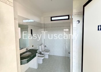 image00006.jpeg - Locale Commerciale Via Giacomo Puccini 2335, Porcari - foto 12