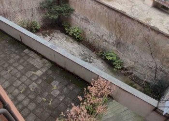 WhatsApp Image 2026-03-04 at 16.51.01 (4).jpeg - Stabile - Palazzo Via Gaudenzio Ferrari 9, Torino (zona Centro) - foto 8