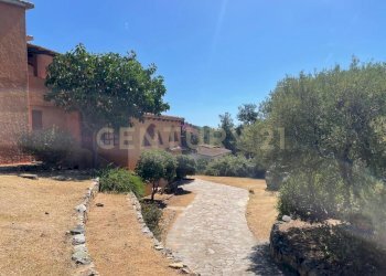 IMG-20250918-WA0035.jpg - Villa Via degli Eucalipti 21, Quartu Sant'Elena - foto 13