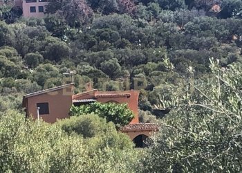 IMG-20250918-WA0039.jpg - Villa Via degli Eucalipti 21, Quartu Sant'Elena - foto 14