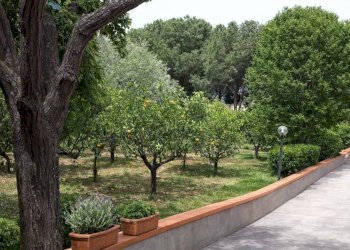 WhatsApp Image 2026-03-16 at 12.49.45.jpeg - Villa Trabia - foto 7