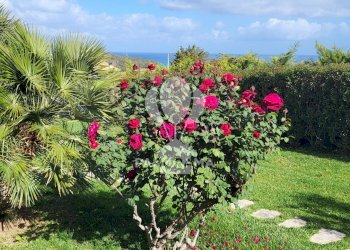 Villa Costiera Occidentale Partenicense Balestrate, Balestrate - foto 20