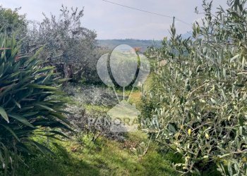 Villa Costiera Occidentale Partenicense Balestrate, Balestrate - foto 28