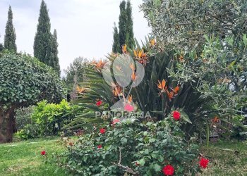 Villa Costiera Occidentale Partenicense Balestrate, Balestrate - foto 38