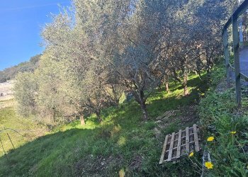 Appartamento VIA FORTE MONTE GUANO, Genova (zona Sestri Ponente) - foto 12