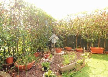 Three-room apartment Via Pellico, Sedriano - photo 8