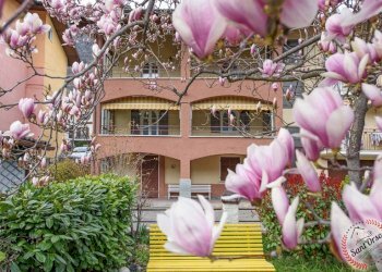 Quadrilocale FRAZIONE LE MONTAN 49, Sarre - foto 1