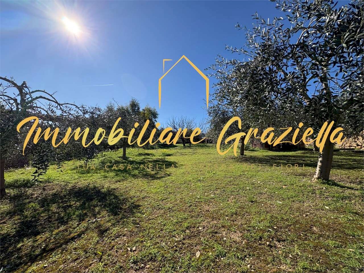 Terreno edificabile Bordighera - foto 1