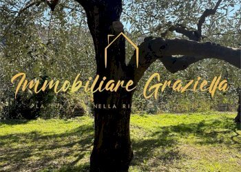 Building land Bordighera - photo 5