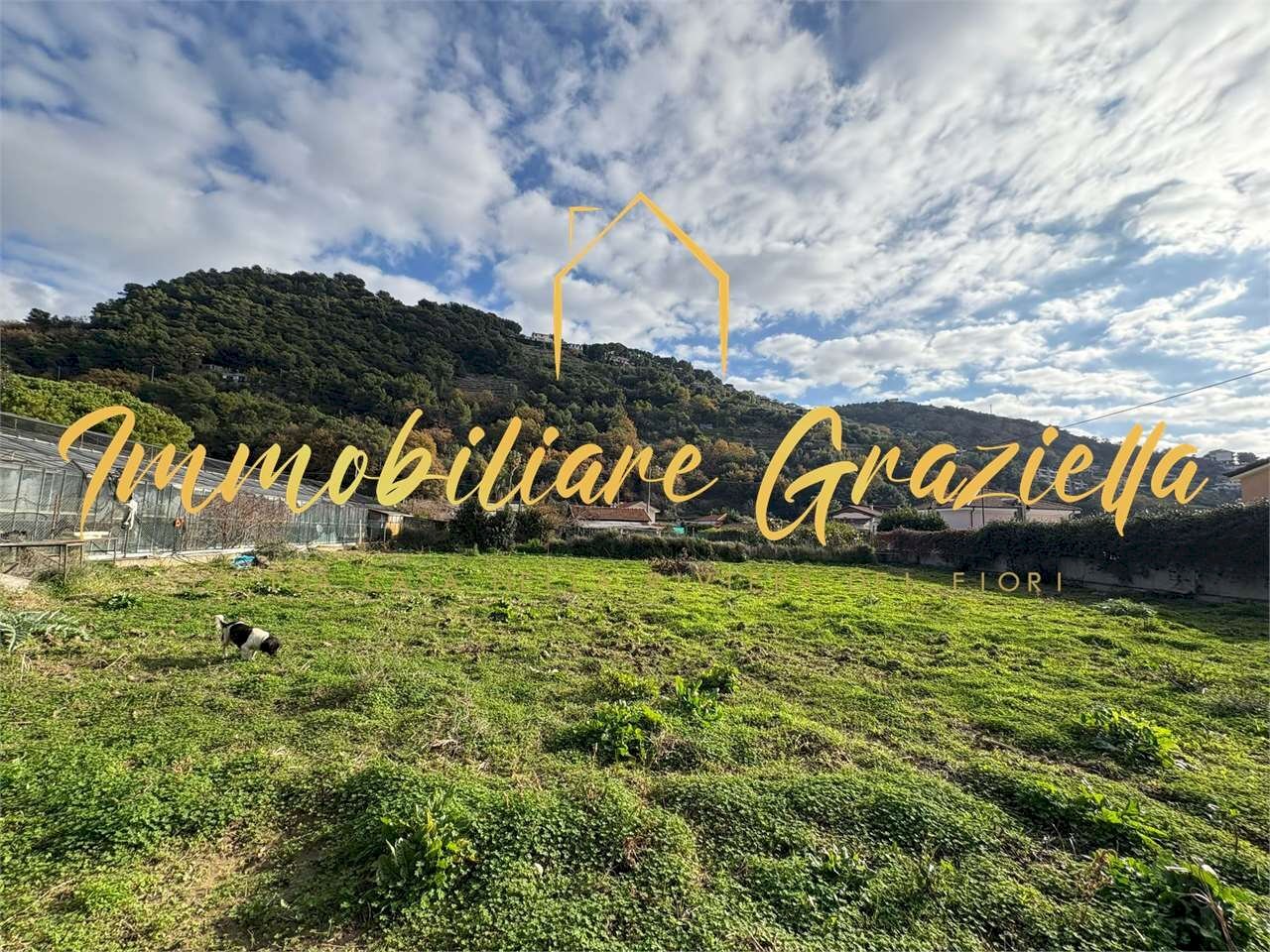 Building land Vallecrosia - photo 1