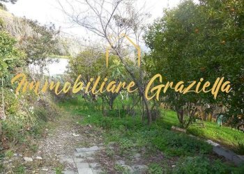 Building land Bordighera - photo 3