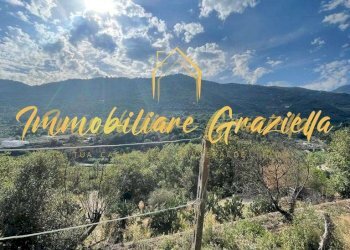 Independent house Dolceacqua - photo 5