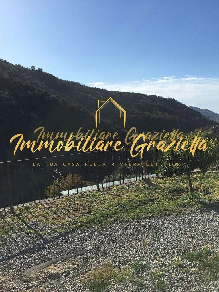 Independent house Dolceacqua - photo 2