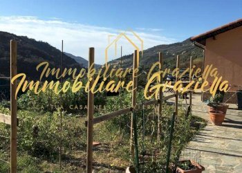 Independent house Dolceacqua - photo 4