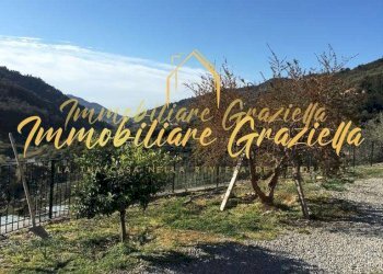 Independent house Dolceacqua - photo 5