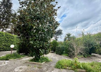 Foto 4 - Casa semi indipendente via terragno, San Cesario di Lecce - foto 4