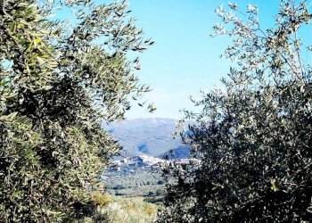 Foto 19 - Monolocale Via Dante Alighieri
 
1, Moricone - foto 19