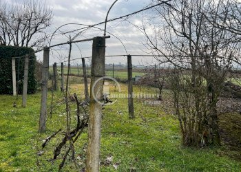 Foto 16 - Independent house Cervesina - photo 16