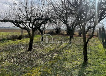 Foto 42 - Independent house Cervesina - photo 42