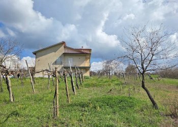 Foto 8 - Casa indipendente Contrada acquara, Torella dei Lombardi - foto 8