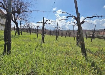 Foto 9 - Casa indipendente Contrada acquara, Torella dei Lombardi - foto 9