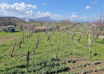 Foto 10 - Casa indipendente Contrada acquara, Torella dei Lombardi - foto 10