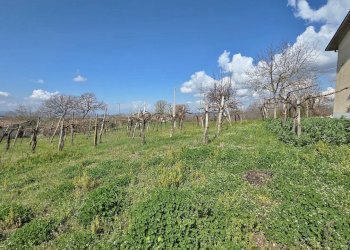 Foto 20 - Casa indipendente Contrada acquara, Torella dei Lombardi - foto 20