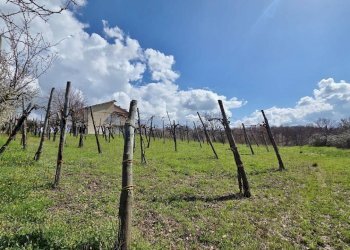 Foto 22 - Casa indipendente Contrada acquara, Torella dei Lombardi - foto 22