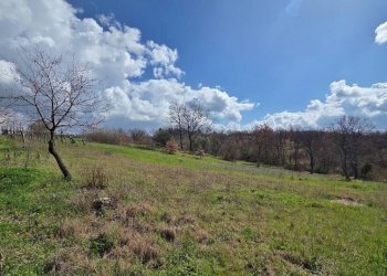 Foto 24 - Casa indipendente Contrada acquara, Torella dei Lombardi - foto 24