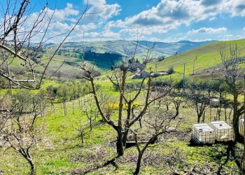 Foto 37 - Villa CONTRADA paragano
 
30, Ariano Irpino - photo 37