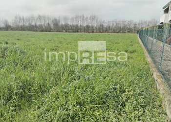 Foto 10 - Terreno edificabile vicolo monte cervino quinto di tv, Quinto di Treviso - foto 10