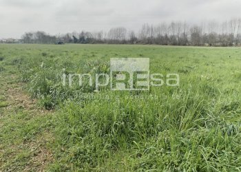 Foto 13 - Terreno edificabile vicolo monte cervino quinto di tv, Quinto di Treviso - foto 13