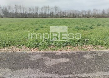 Foto 14 - Terreno edificabile vicolo monte cervino quinto di tv, Quinto di Treviso - foto 14