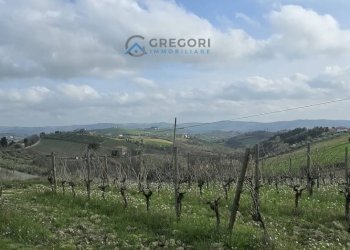 Foto 5 - Rustic Offida - photo 5