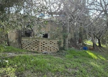 Foto 6 - Rustic Offida - photo 6