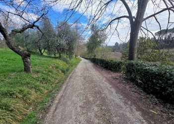 Foto 13 - Rustic Fucecchio - photo 13