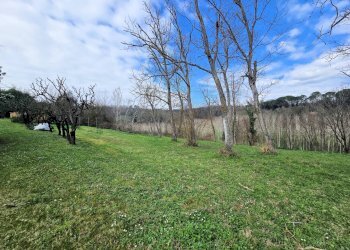 Foto 16 - Rustic Fucecchio - photo 16