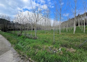 Foto 18 - Rustic Fucecchio - photo 18