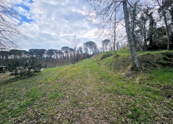 Foto 20 - Rustic Fucecchio - photo 20